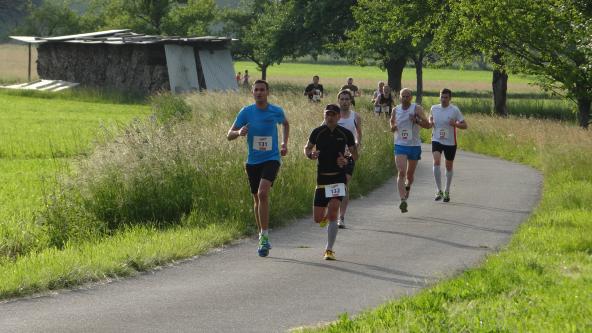 Sommerabendlauf Vorjahr